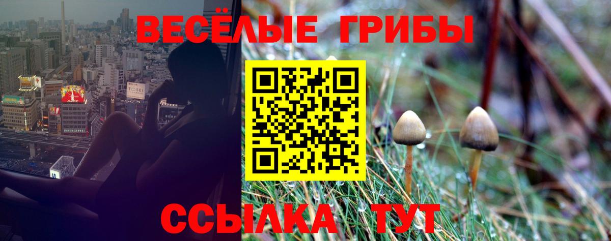 Псилоцибиновые грибы MAGIC MUSHROOMS  Вход с VPN  закладки  Ижевск  Галлюциногенные грибы Magic Shrooms 